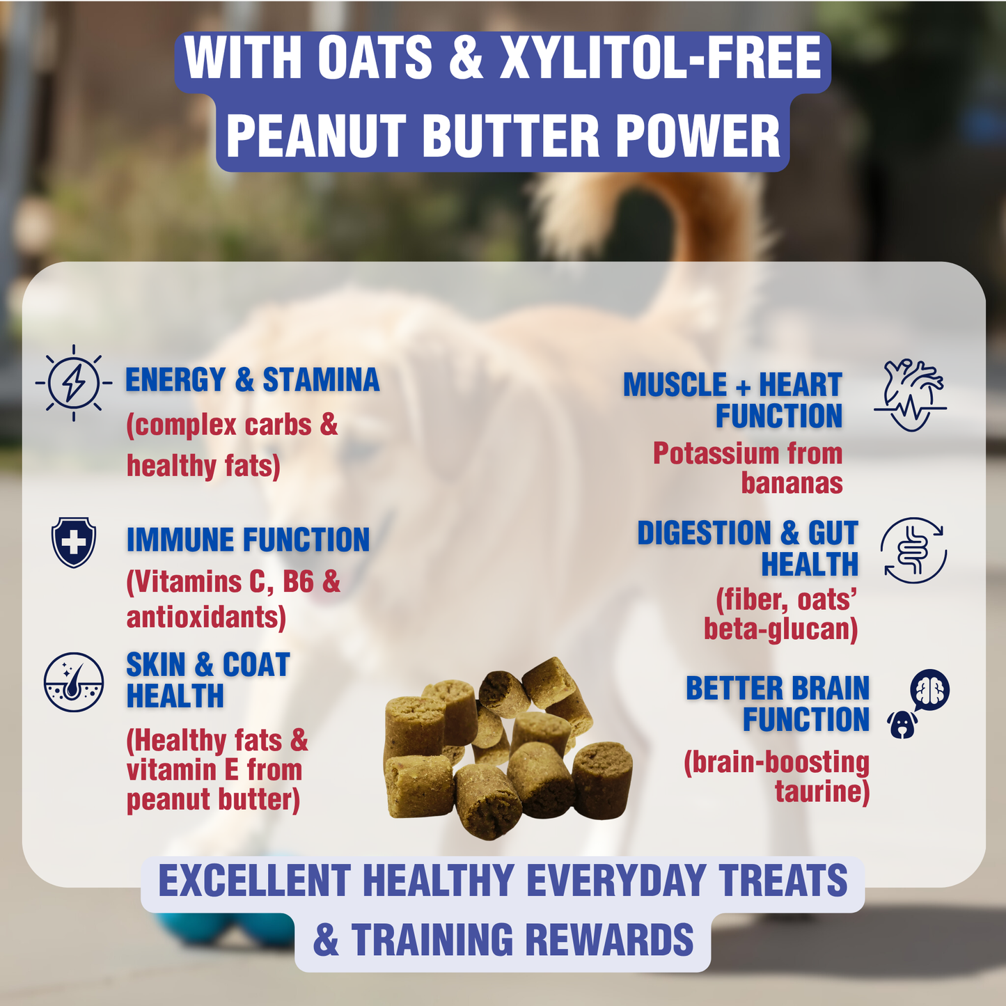 100% Vegan Banana Organic Peanut Butter & Power Oats bites
