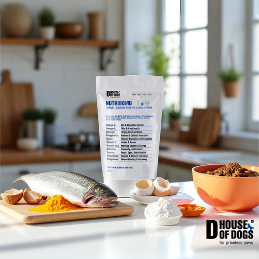 NUTRIBOMB - Fish Omegas, Calcium, Turmeric Meal Topper