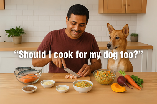 Homemade Dog Food: Pros, Cons & Must-Know Tips