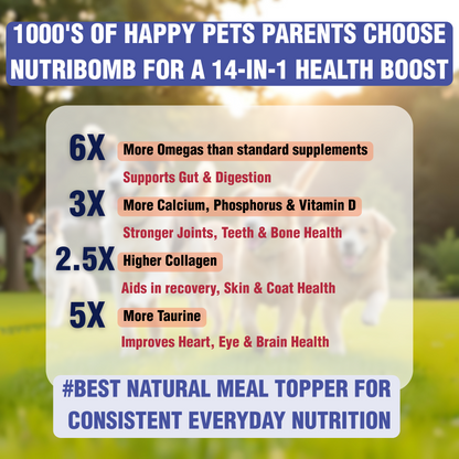 NUTRIBOMB - Fish Omegas, Calcium, Turmeric Meal Topper