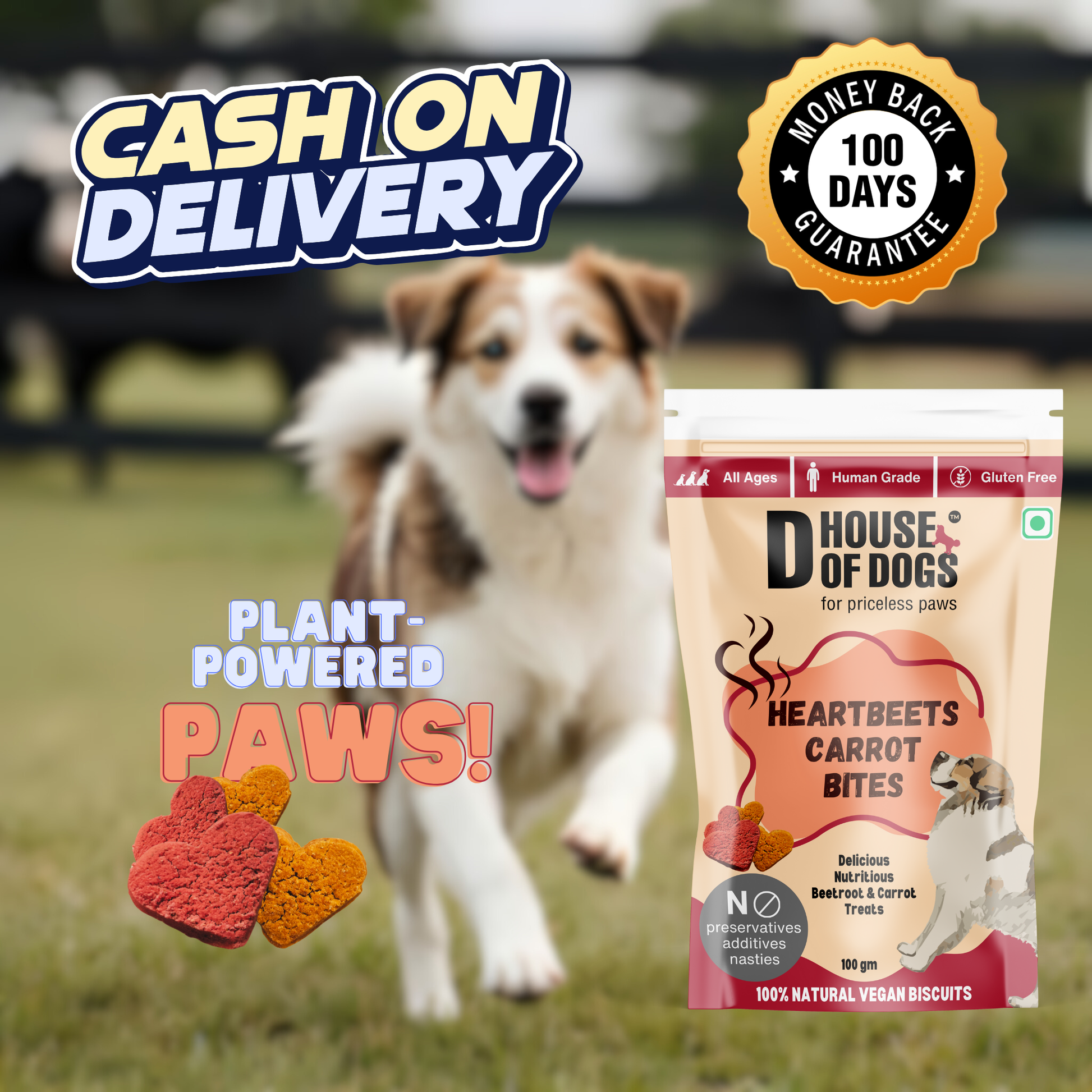 100% Vegan Beetroot Carrot Bites – DHouseOfDogs Store 100% Vegan Beetroot Carrot Bites – DHouseOfDogs Store