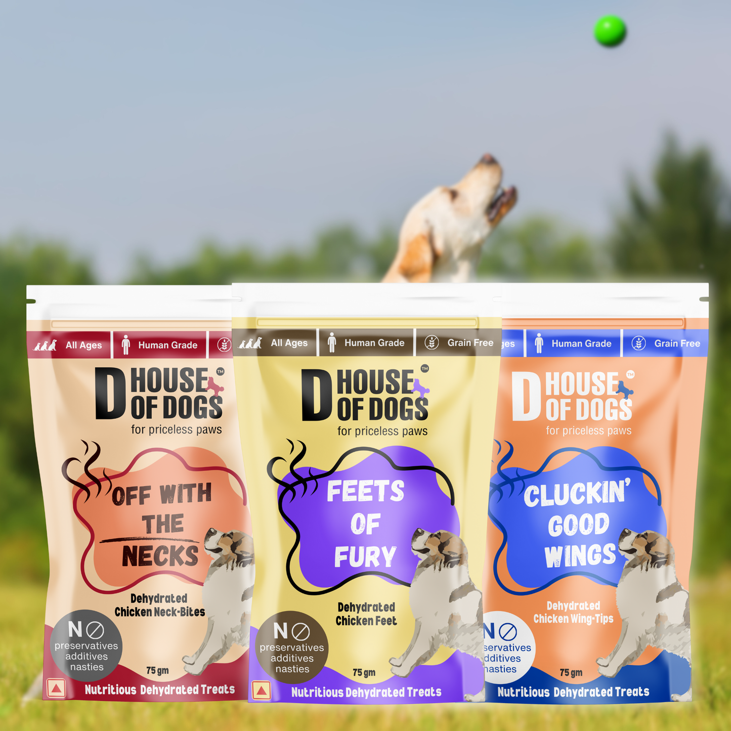 Dehydrated Chicken Treats Starter Pack for Dogs