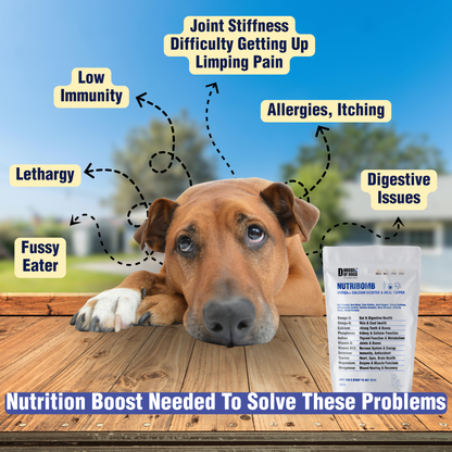 NUTRIBOMB - Fish Omegas, Calcium, Turmeric Meal Topper