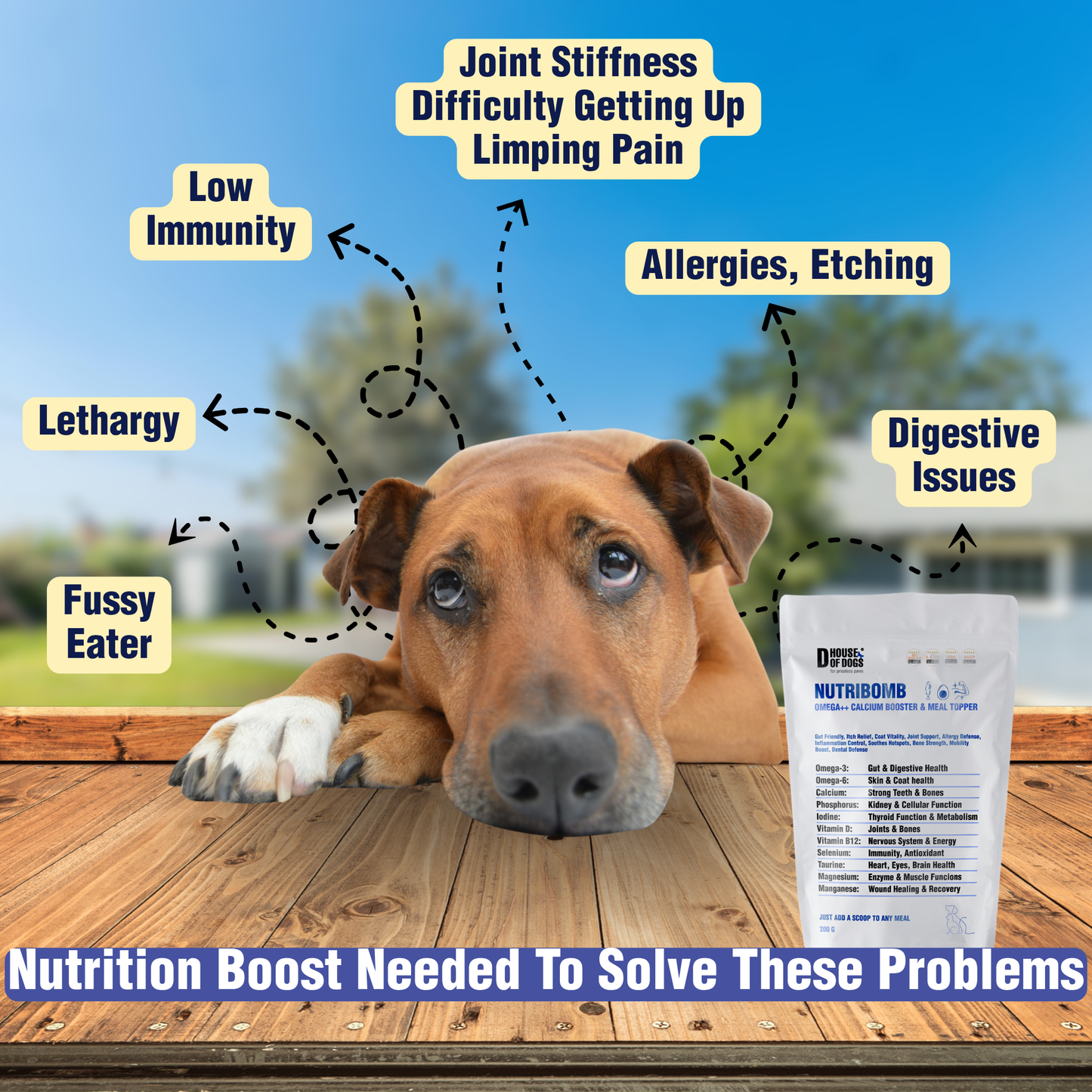 NUTRIBOMB - Fish Omegas, Calcium, Turmeric Meal Topper