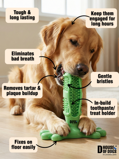 The Big Power - Plaque Buster Dental Toy for Dogs & Cats