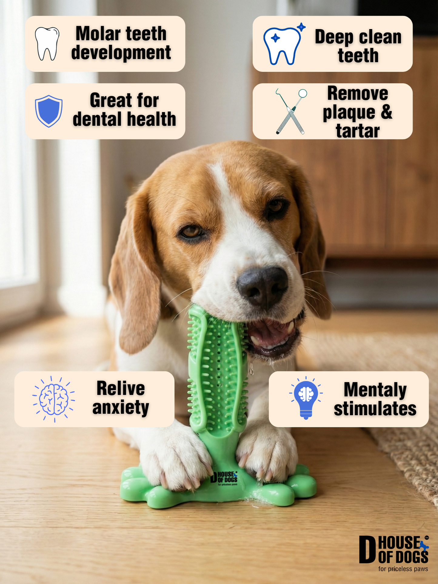 The Big Power - Plaque Buster Dental Toy for Dogs & Cats