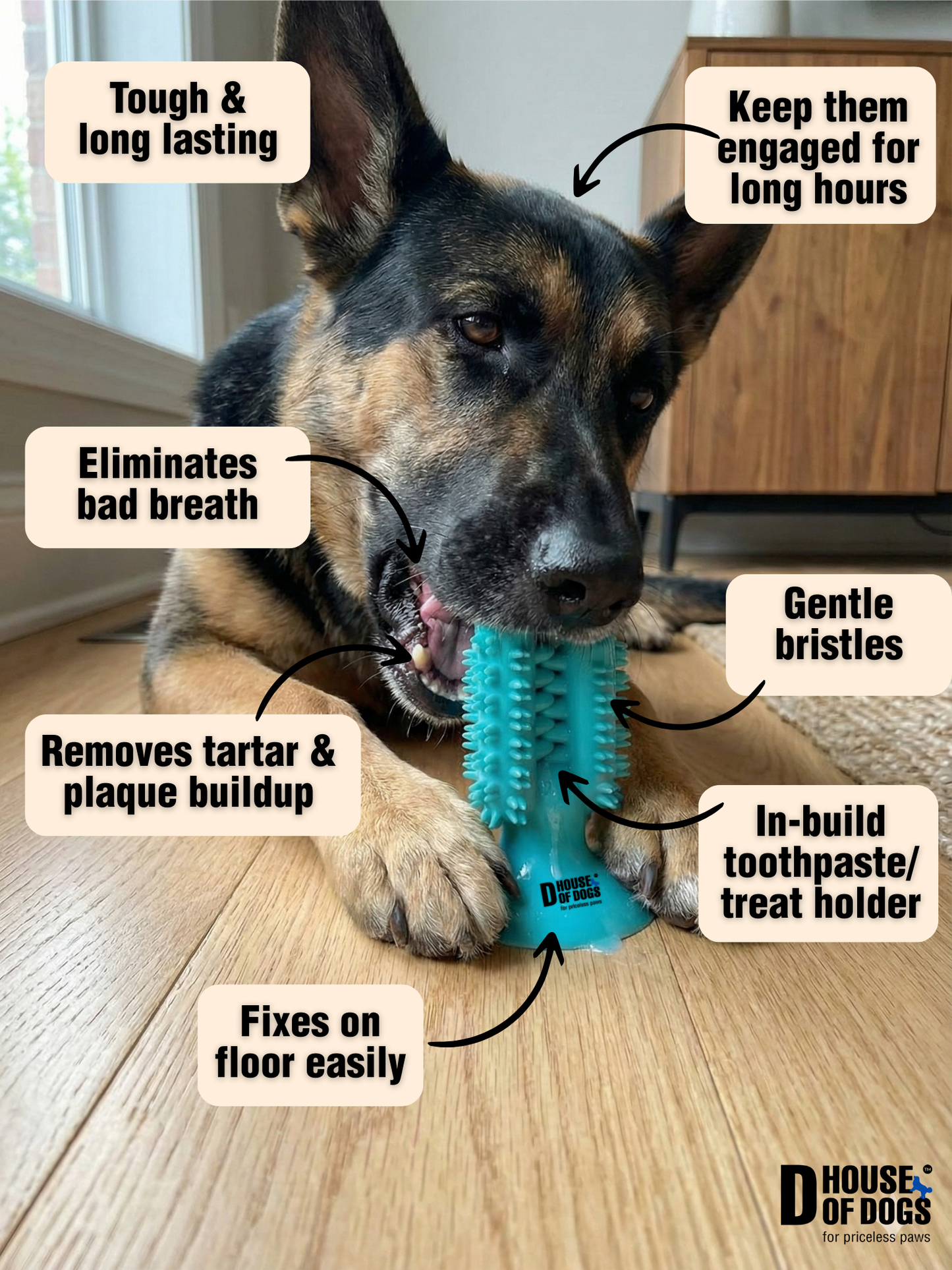 The 3D Cactus Plaque Buster Dental Chew Toy