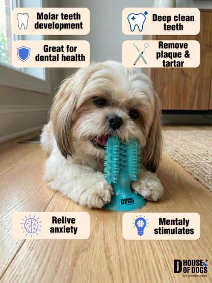 The 3D Cactus Plaque Buster Dental Chew Toy