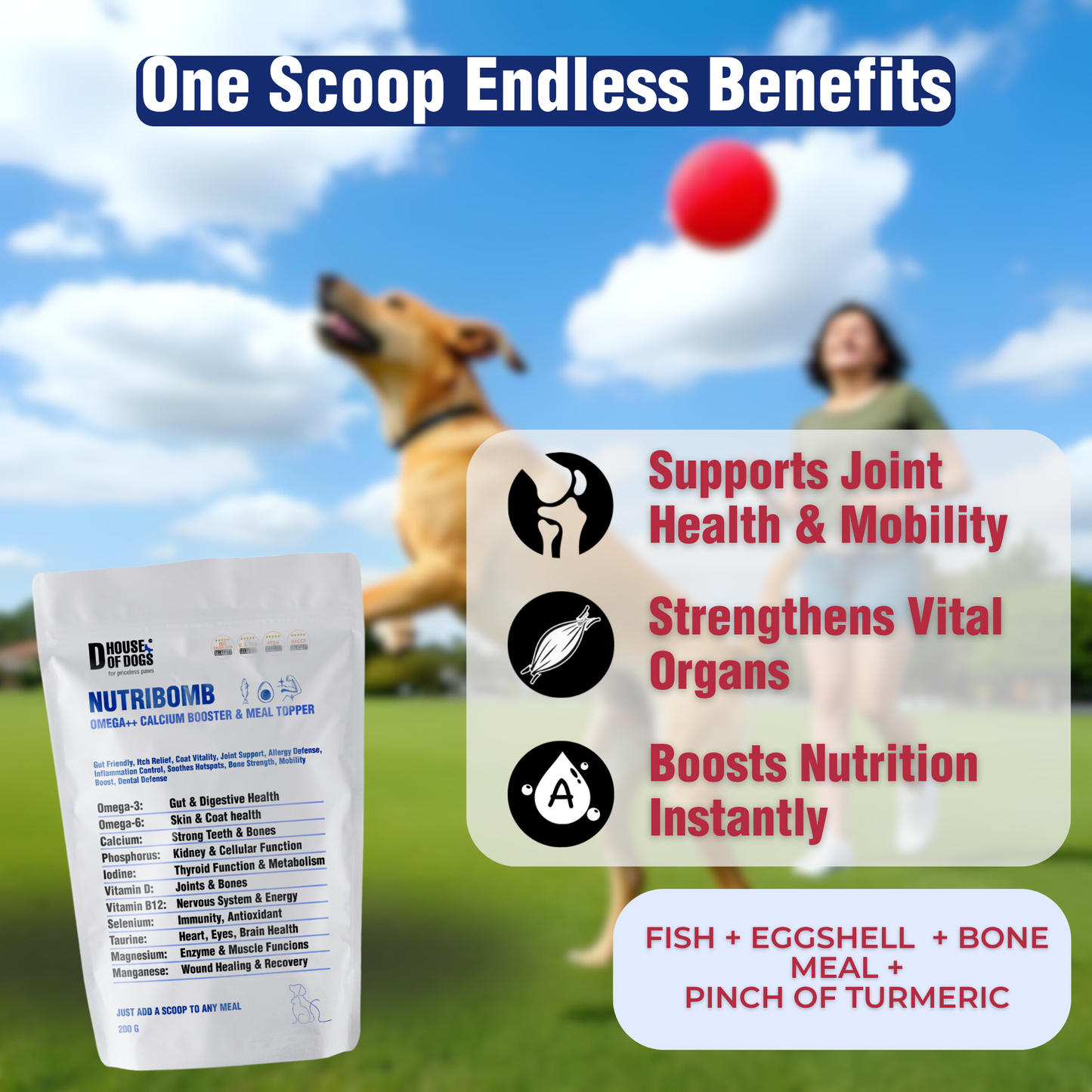 NUTRIBOMB - Fish Omegas, Calcium, Turmeric Meal Topper