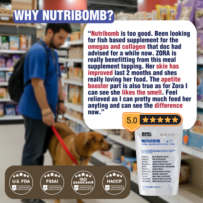NUTRIBOMB - Fish Omegas, Calcium, Turmeric Meal Topper