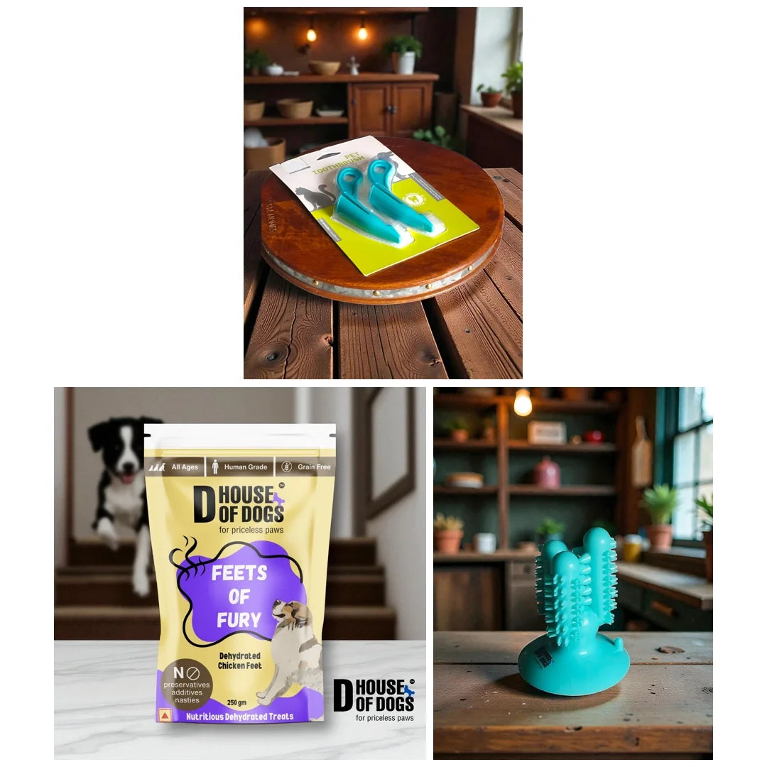 The Ultimate Dental & Enrichment Dog Bundle