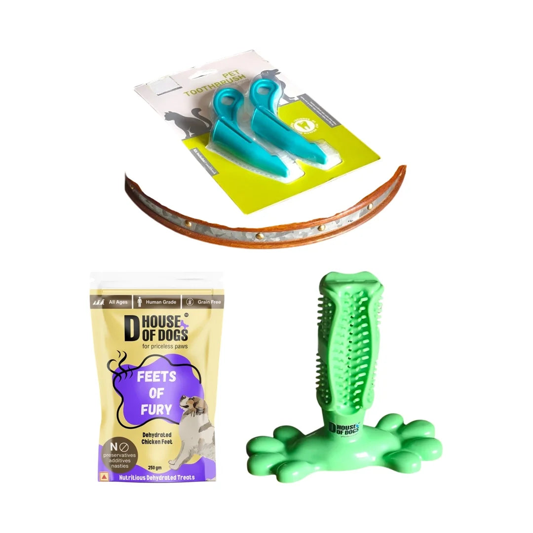 The Ultimate Dental & Enrichment Dog Bundle