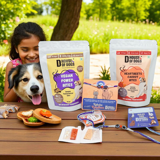 Vegan Treats Tyohar Hamper- Rakhi Combo for Pets